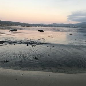 Meet your Posher, Imelda